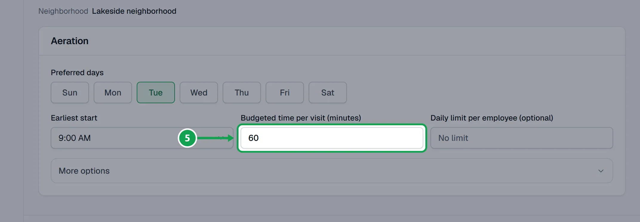 Step 5: On Days & limits, set Preferred days, Earliest start, Budgeted time per visit (minutes) and Daily limit per employee (optional). More options holds backup days, season dates and notice. The part to press is outlined in green.