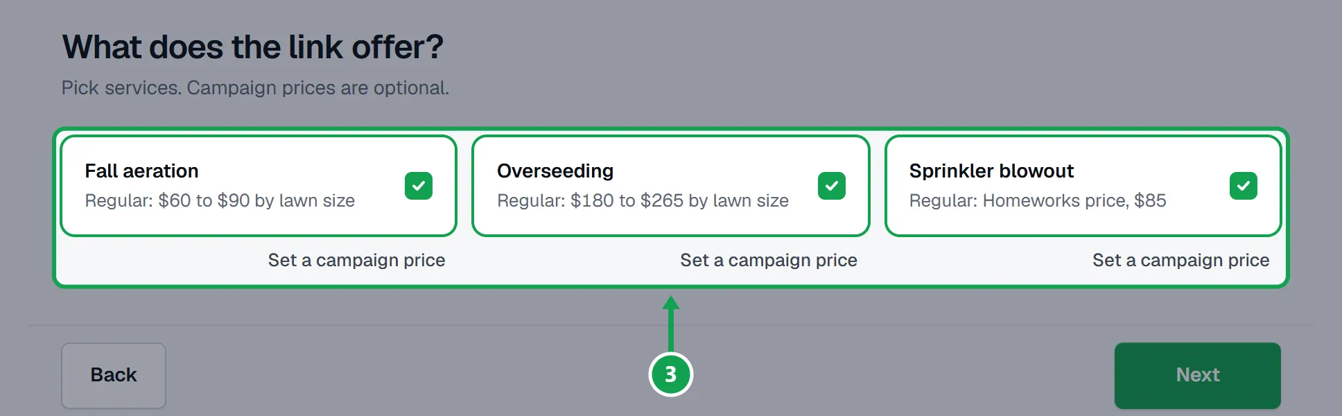 Step 3: Offer: every service on your form starts ticked. Untick any this link should not offer, or press Set a campaign price on one. Press Next. The part to press is outlined in green.