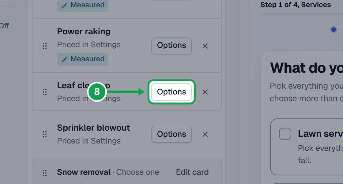 Step 8: On Services, press Options beside the service. The part to press is outlined in green.
